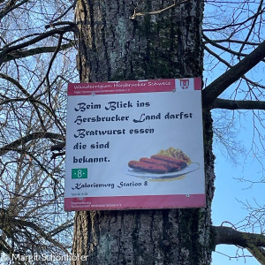 Schild